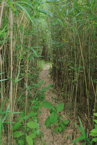 TG20210612_151.jpg