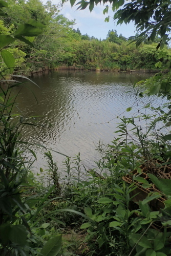 TG20210612_154.jpg