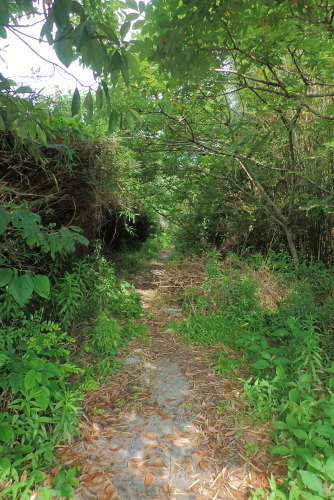 TG20210612_155.jpg