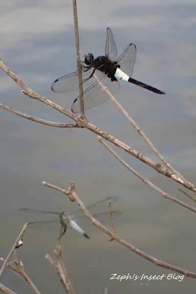 TG20210612_165.jpg