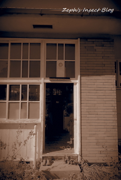TG20211112_009.jpg