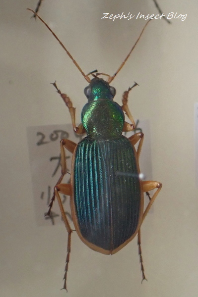 TG20211112_019.jpg