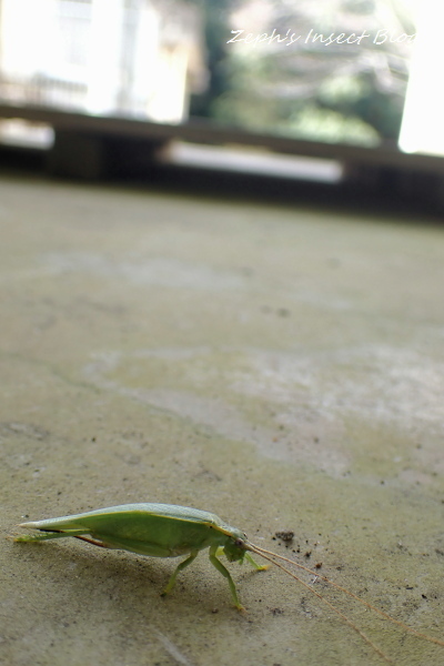 TG20211112_025.jpg