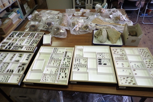 TG20211112_029.jpg
