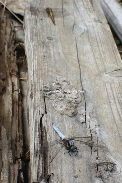 TG20220416_030.jpg
