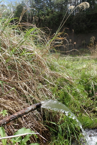 TG20220416_031.jpg