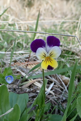 TG20220416_061.jpg