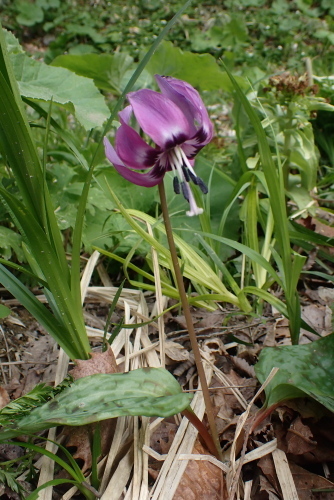 TG20230501_040.jpg