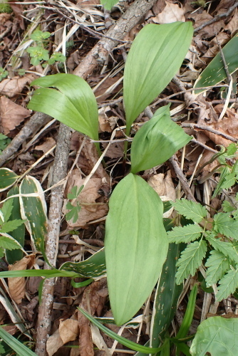 TG20230501_042.jpg