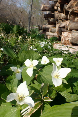 TG20230501_046.jpg