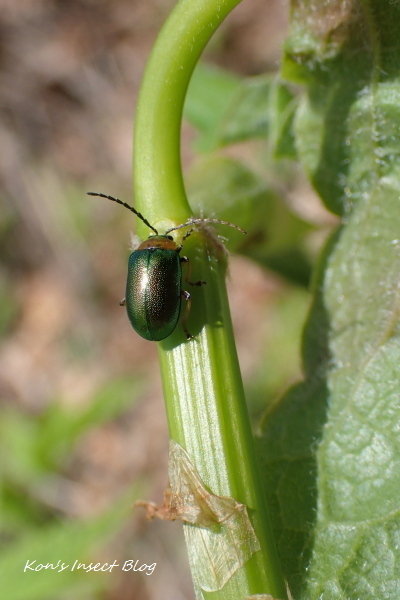 TG20230502_041.jpg
