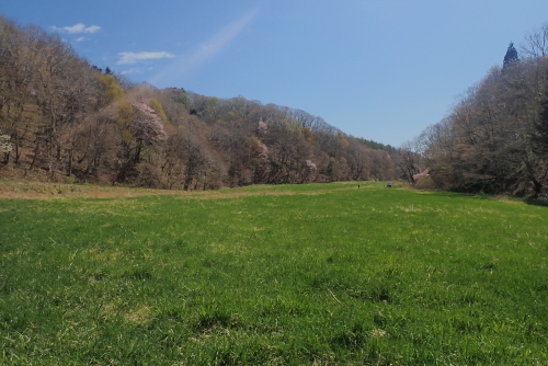 TG20230502_050.jpg