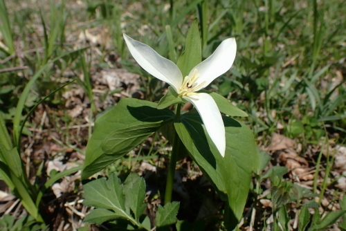TG20230502_055.jpg