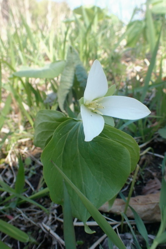 TG20230502_056.jpg