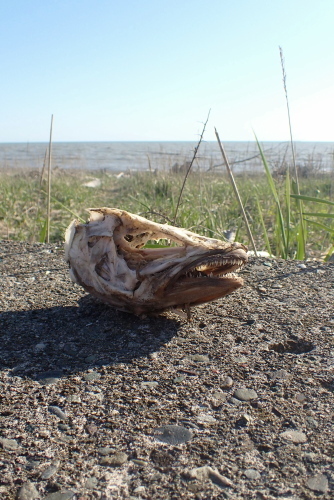 TG20230502_060.jpg