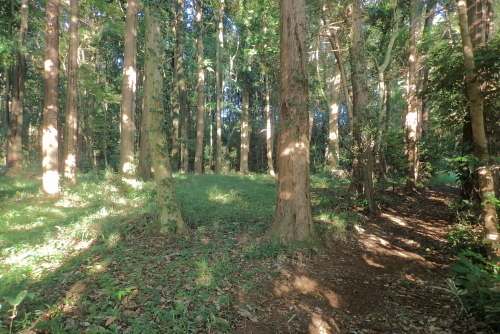TG20231006_002.jpg