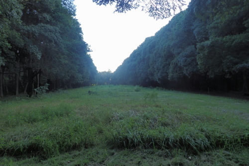 TG20231006_008.jpg