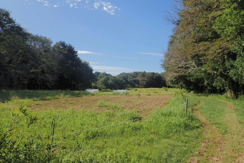 TG20231007_001.jpg