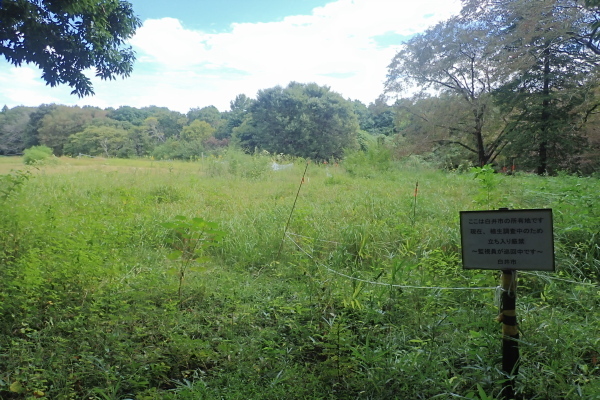 TG20231010_001.jpg