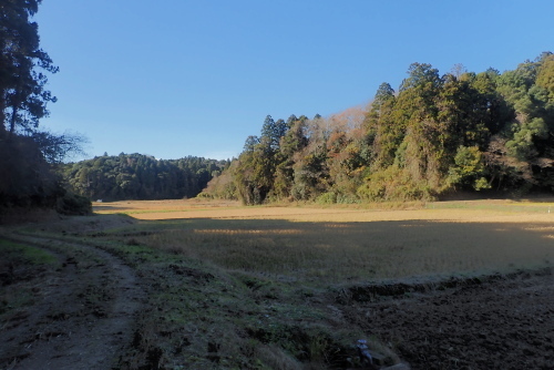 TG20231217_010.jpg