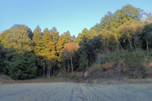 TG20231217_045.jpg