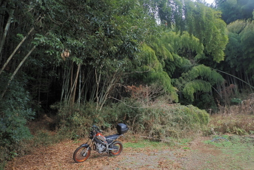 TG20240103_014.jpg