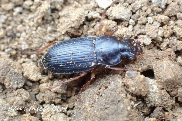 TG20240103_019.jpg