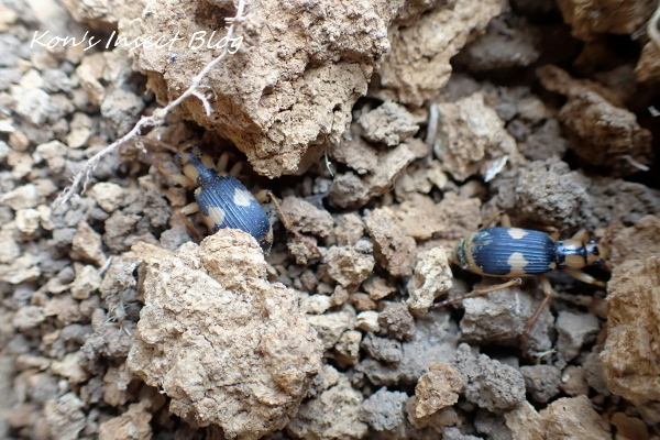 TG20240103_021.jpg