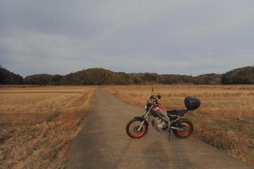 TG20240103_029.jpg