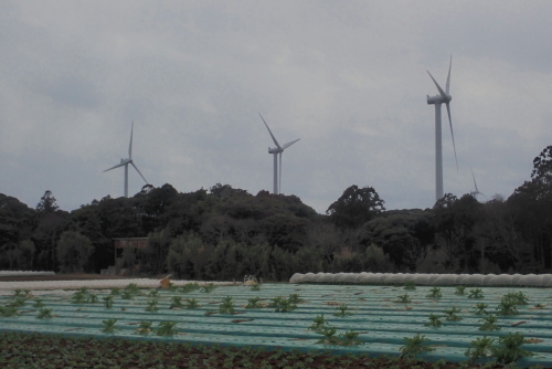 TG20240302_003.jpg