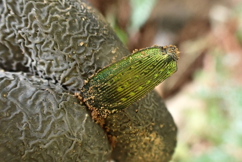 TG20240302_037.jpg