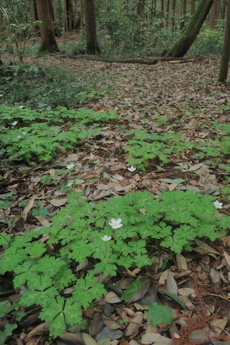 TG20240408_027.jpg