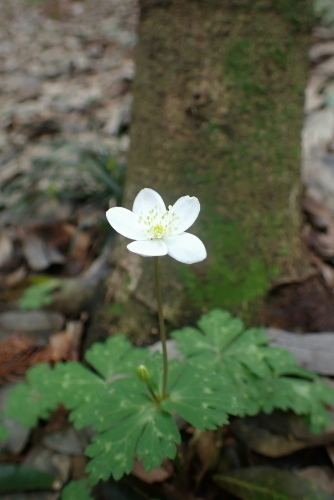 TG20240408_028.jpg