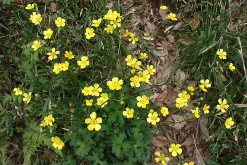 TG20240408_038.jpg