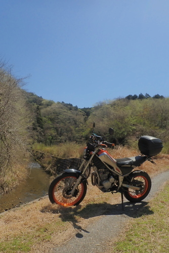 TG20240410_002.jpg