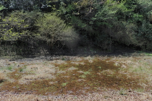 TG20240410_015.jpg