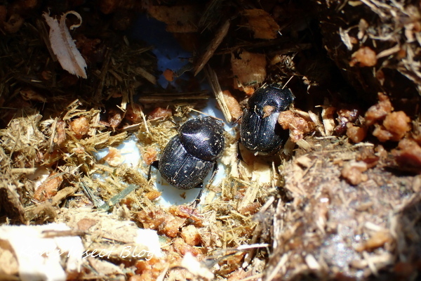 TG20240410_031.jpg