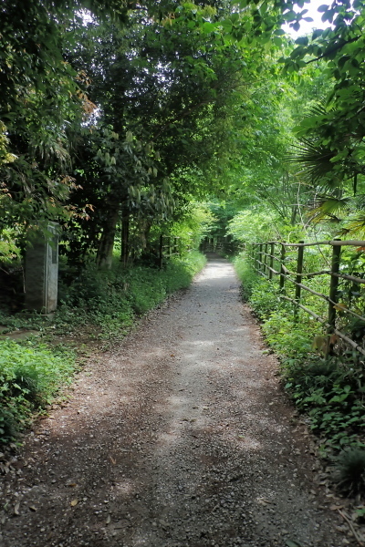TG20240514_002.jpg