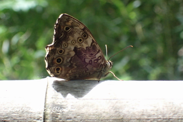 TG20240514_003.jpg