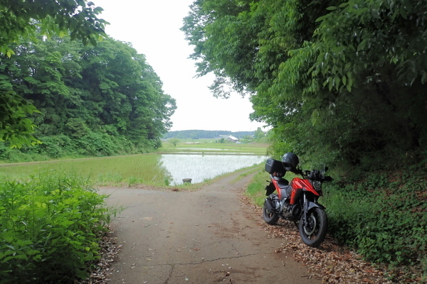 TG20240523_015.jpg
