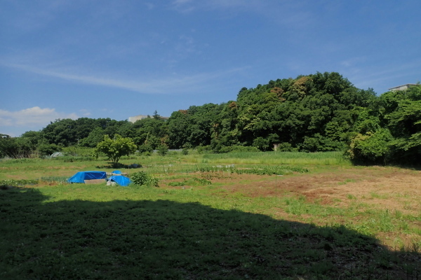 TG20240525_001.jpg
