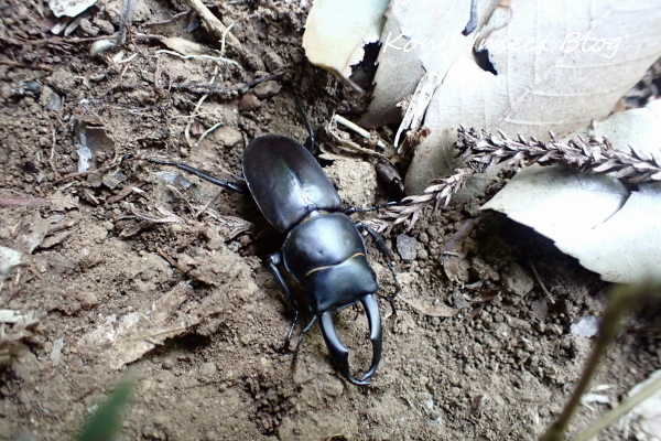 TG20240525_005.jpg