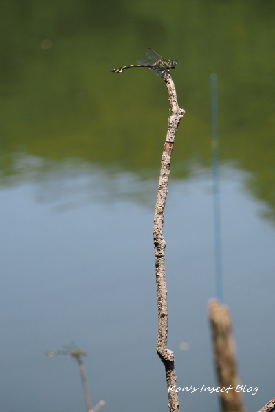 TG20240608_019_01.jpg