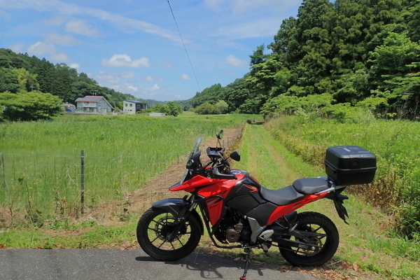 TG20240610_001.jpg