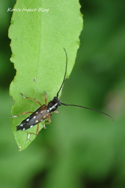 TG20240610_011.jpg