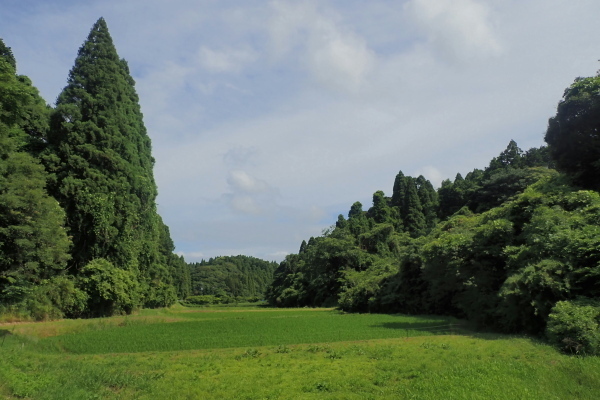 TG20240610_053.jpg