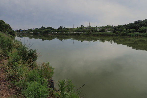 TG20240613_001.jpg