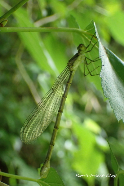 TG20240613_009.jpg