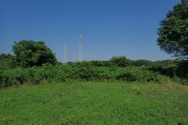 TG20240614_001.jpg