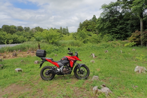 TG20240616_005.jpg